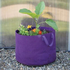 Smart Pot® Vivid Color, Violet – 15 Gal. -Garden Seed Shop 07526 02 violet