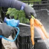 Cold Weather Wash Station Gloves – 2X 2 Cold Weather Wash Station Gloves – 2X -Garden Seed Shop 07712 01 cold gloves2x