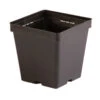 Maxi Square Plastic Pots – 18 Count -Garden Seed Shop 07748 01 maxi pot