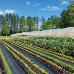 Sunbelt Black Ground Cover – 12' X 300'