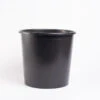 Flower Buckets – 10 L, 50 Count -Garden Seed Shop 07883 01 flower bucket 10l