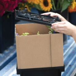 Florida Lid -Garden Seed Shop 07925 04 floridalid