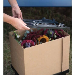 Valencia Lid -Garden Seed Shop 07931 04 valencialid