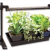 Strip Light Stand 2 Strip Light Stand -Garden Seed Shop 08346 01 strip light stand