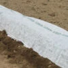 Agribon+ AG-19 – 83" X 50' 1 Agribon+ AG-19 – 83" X 50' -Garden Seed Shop 09029 01 agribon83x50
