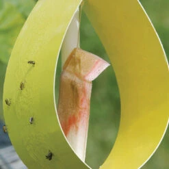Sticky Yellow Traps – 5 Count