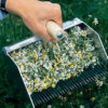 Chamomile Rake -Garden Seed Shop 09273 02 chamorake