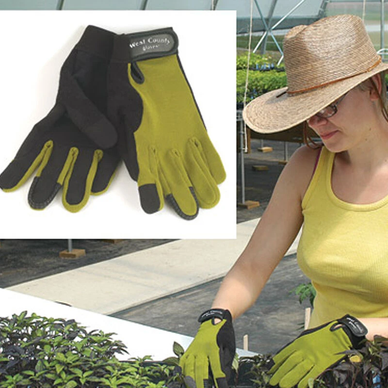 Women's Stem – S 3 Women's Stem – S