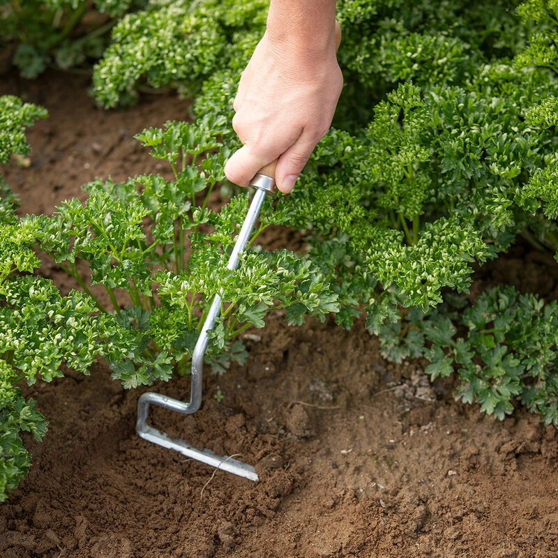 Wire Weeder 4 Wire Weeder - Image 2