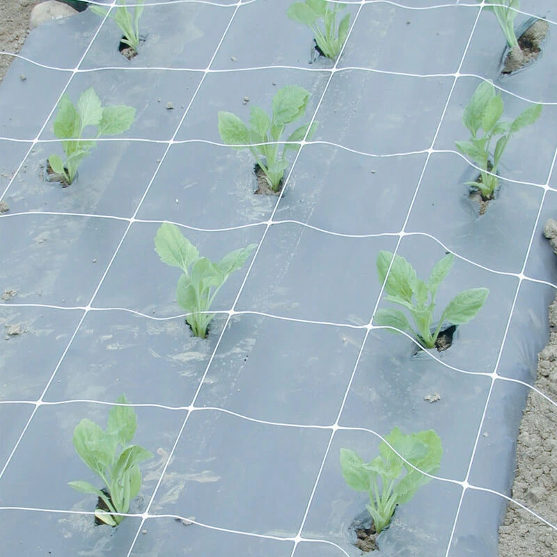 Hortonova FA – 48" X 328' 3 Hortonova FA – 48" X 328'