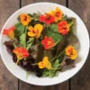 Salad Mix Collection -Garden Seed Shop 3205g 01 saladmixcollection