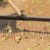 Tine Weeding Rake – 21" -Garden Seed Shop 7407 02 tineweedingrakedetail