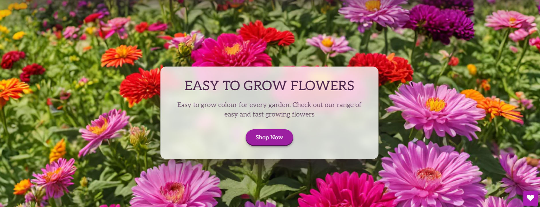 Garden Seed Shop -Garden Seed Shop rfhh